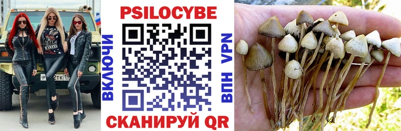 закладки  Кировск  Псилоцибиновые грибы ЛСД 
