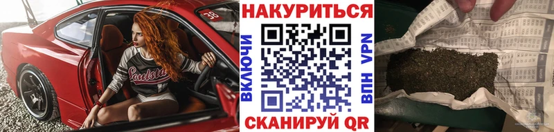 блэк спрут зеркало  Кировск  Конопля тримм 